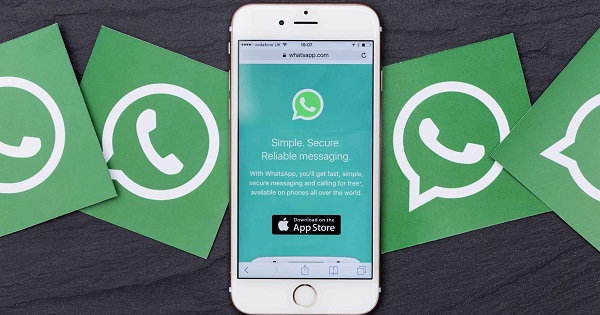 whatsapp连接不上